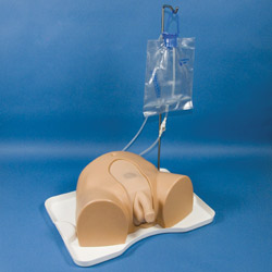 Male Catheterisation Simulator